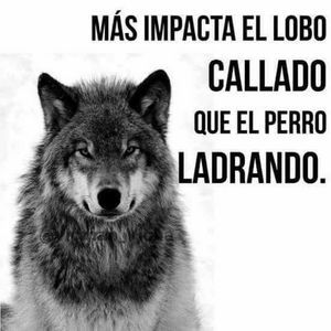 Meet your Posher, Pedro